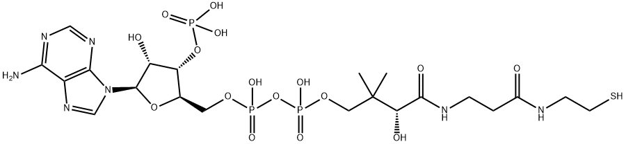 Coenzyme A Structure